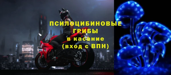 индика Медвежьегорск