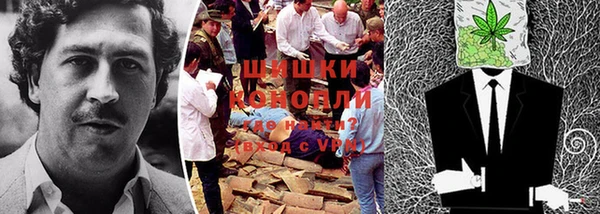 шишки Медногорск