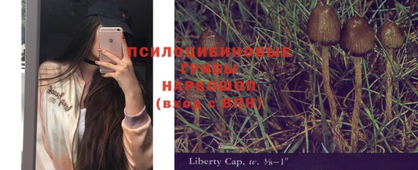 прущие грибы Мегион