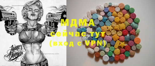 индика Медвежьегорск