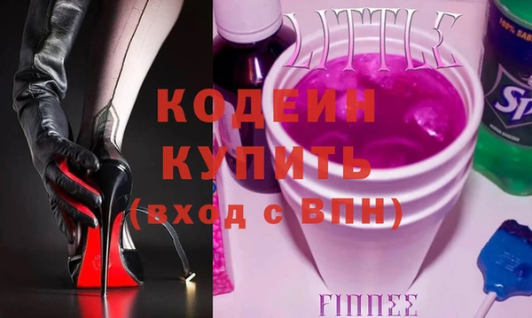 индика Медвежьегорск