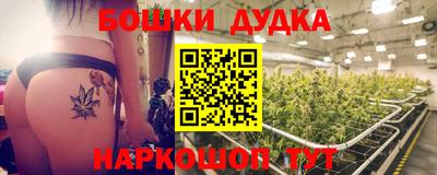 амф Гусев
