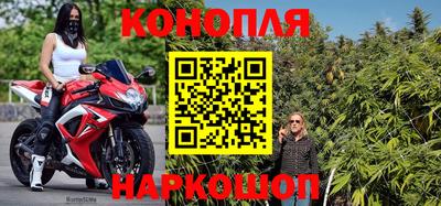 амф Гусев