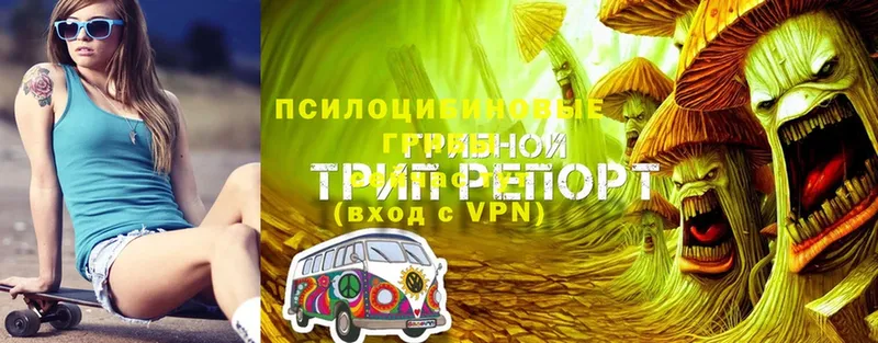 ссылка на мегу ONION  Майский  это телеграм  Галлюциногенные грибы Cubensis 