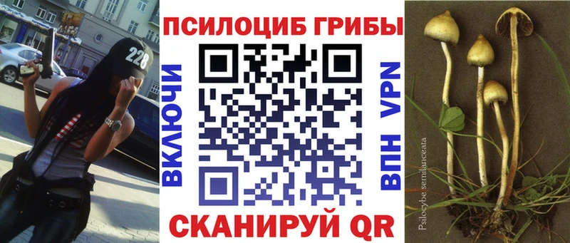 МЕГА ссылки  сколько стоит  Майский  Псилоцибиновые грибы мицелий 