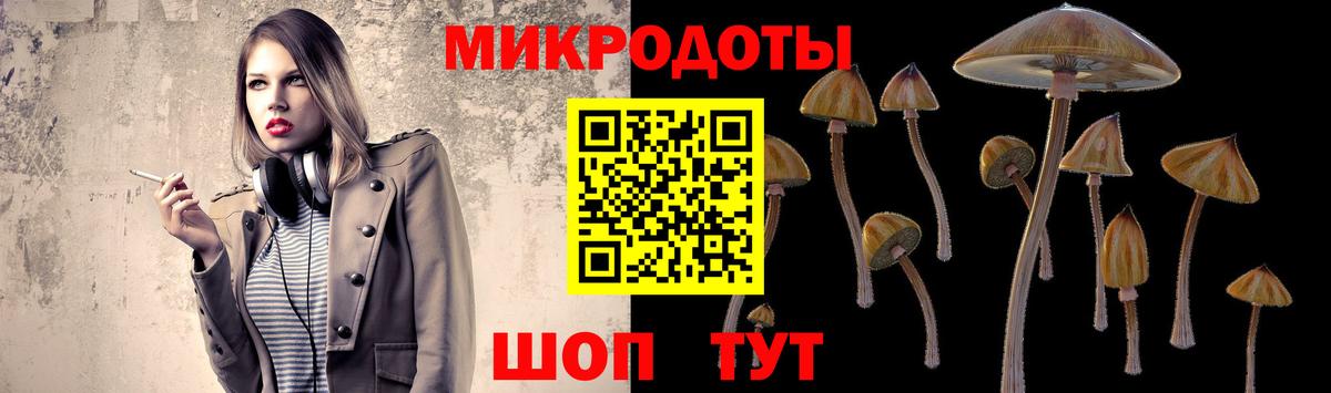 Псилоцибиновые грибы Cubensis Майский
