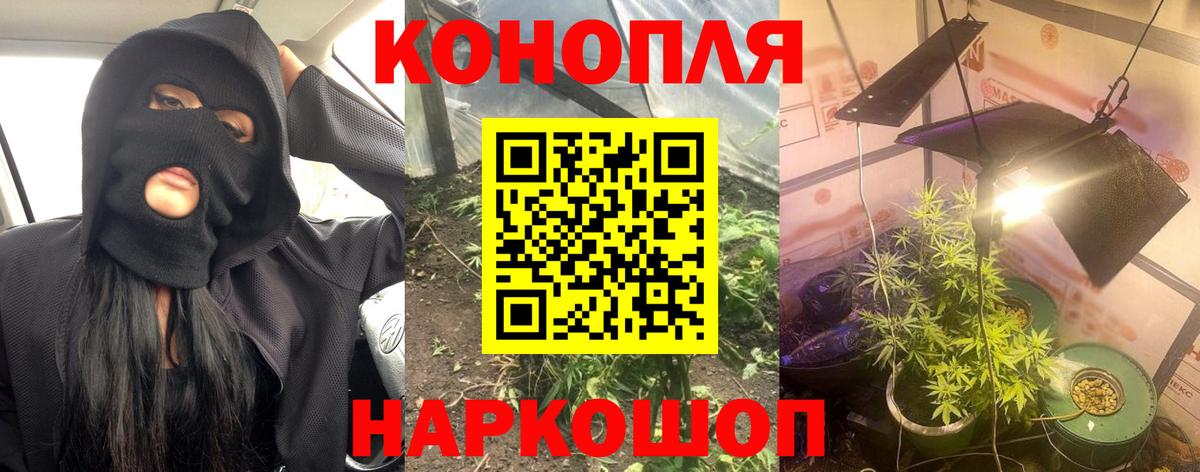 Бошки Шишки тримм Майский